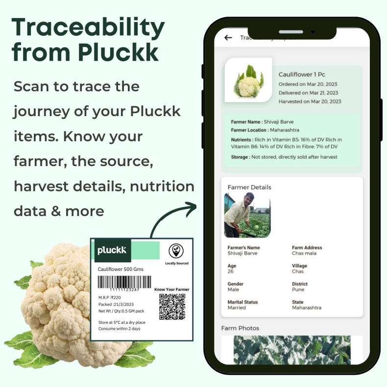 Potato电脑中文版下载安装后聊天记录同步失败怎么办完整教学